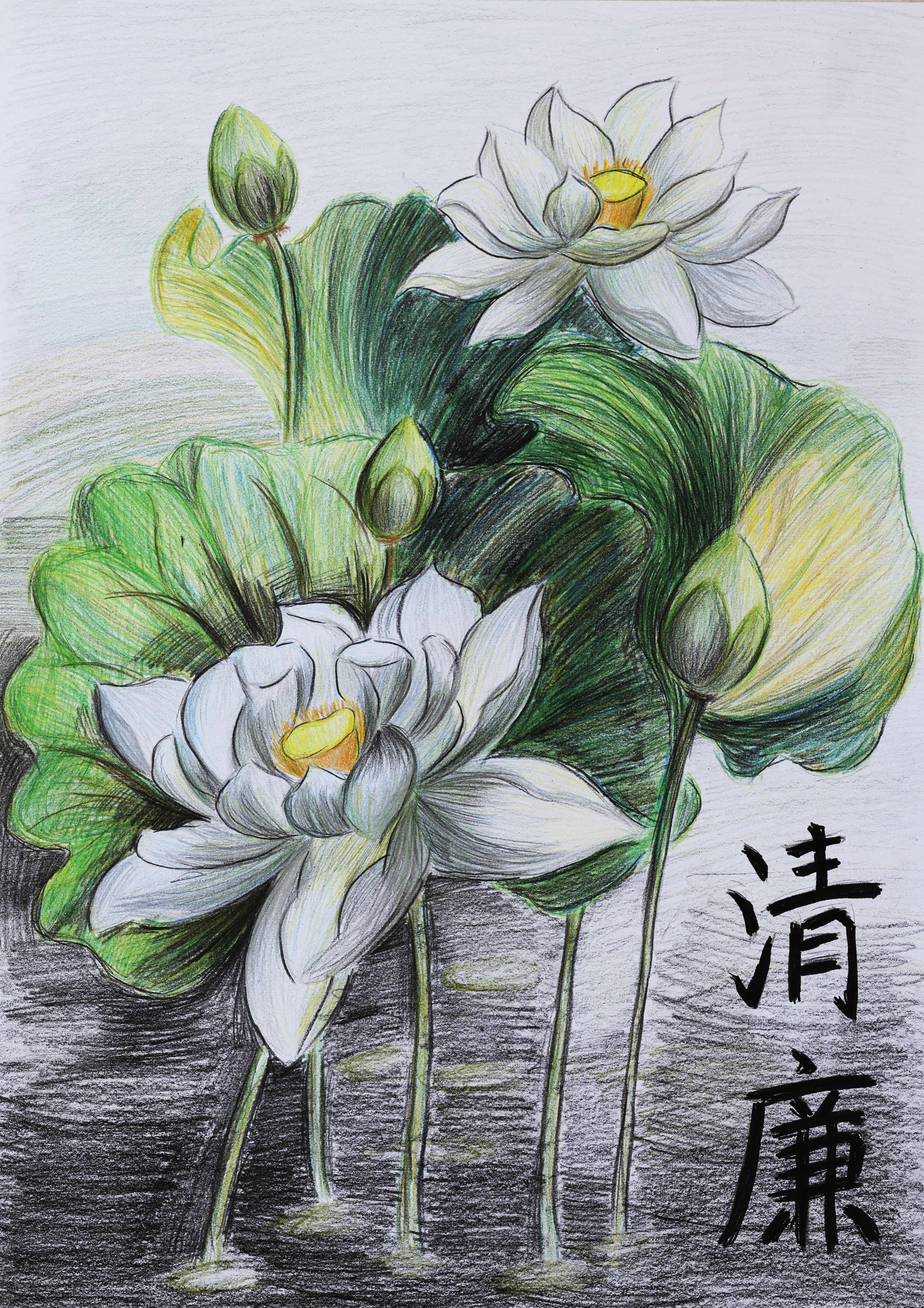 马湘君  绘画《清廉》.jpg