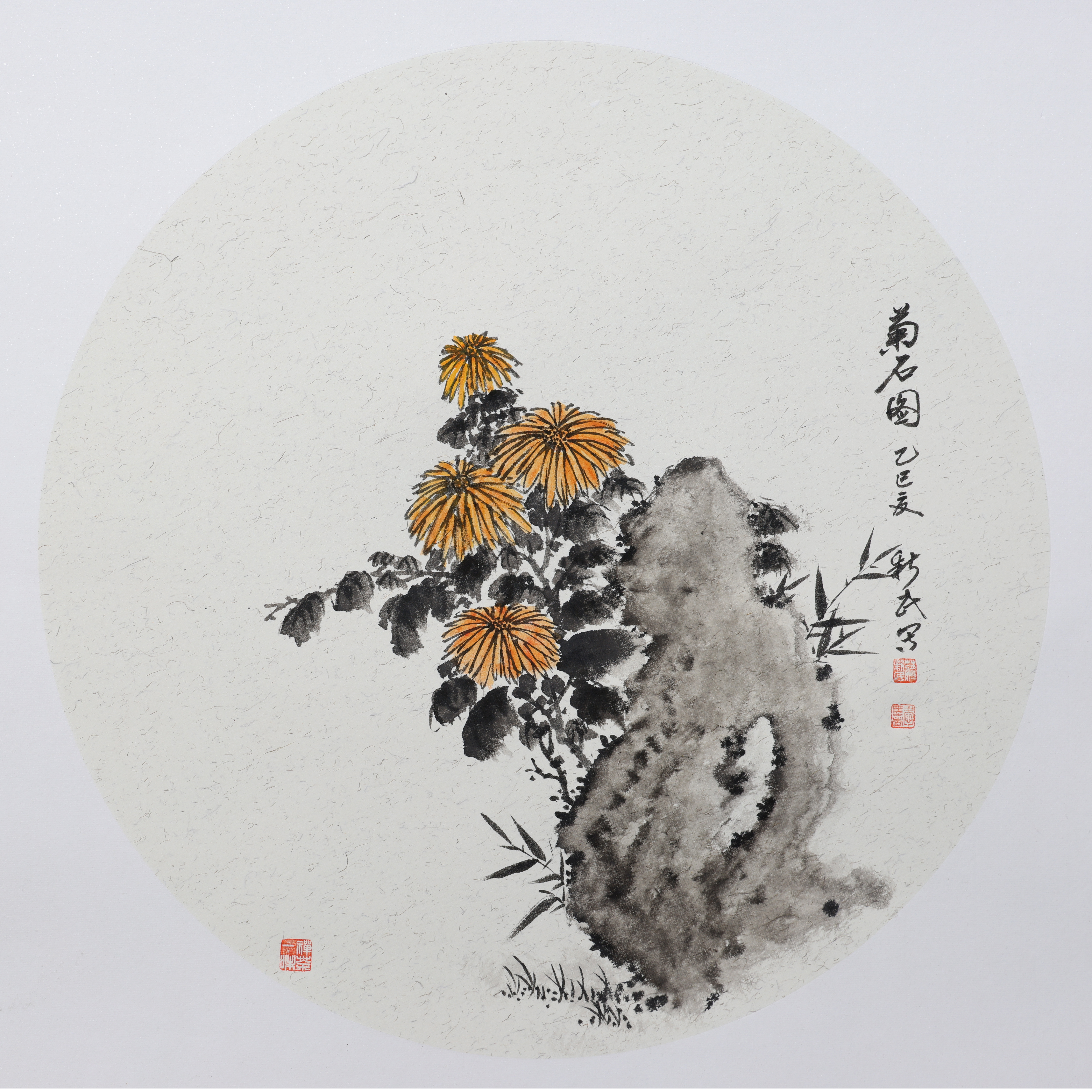 《菊石图》蒋新民.jpg