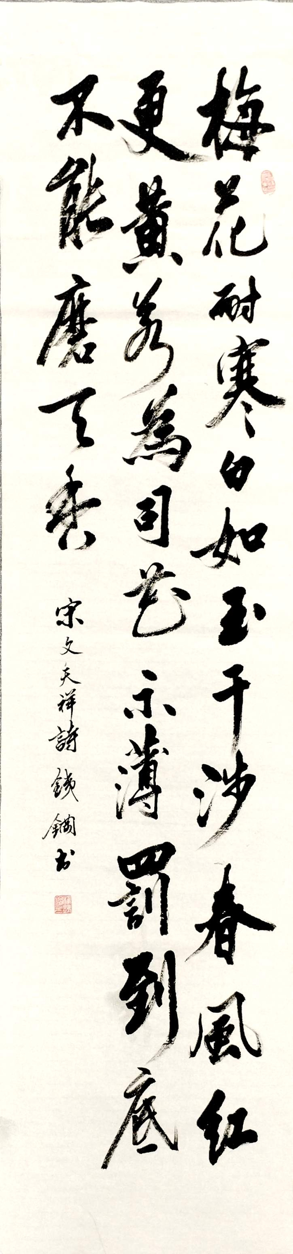 《梅骨铮铮,守得清正本心》杨铁钢1.jpg 《梅骨铮铮,守得清正本心》杨铁钢1.jpg